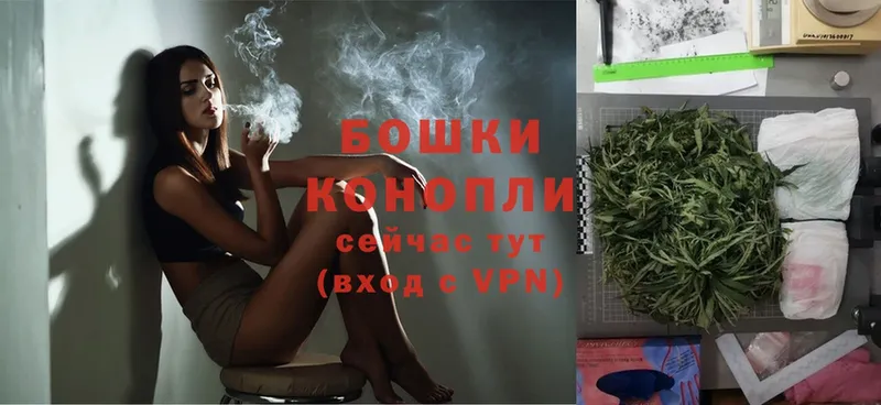 МАРИХУАНА SATIVA & INDICA  сколько стоит  Жирновск 